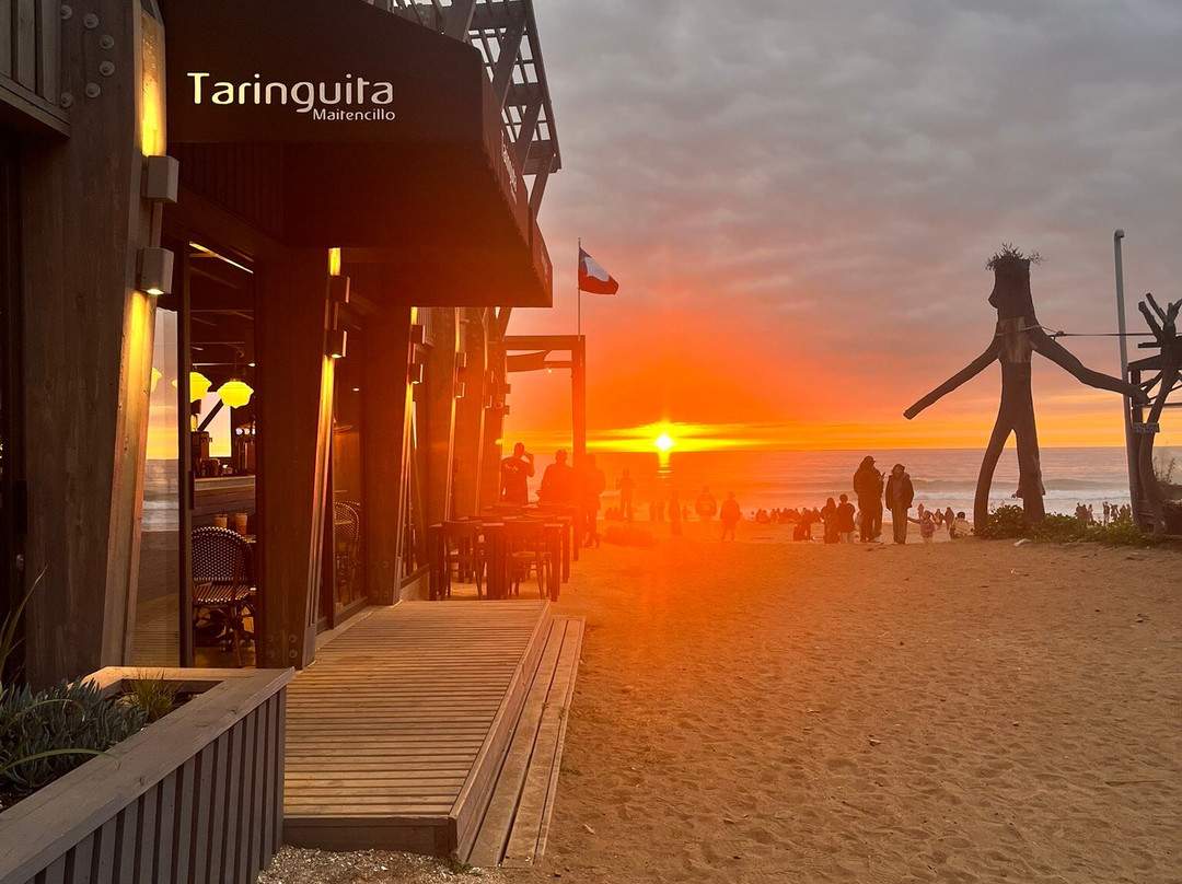 Taringuita Maitencillo