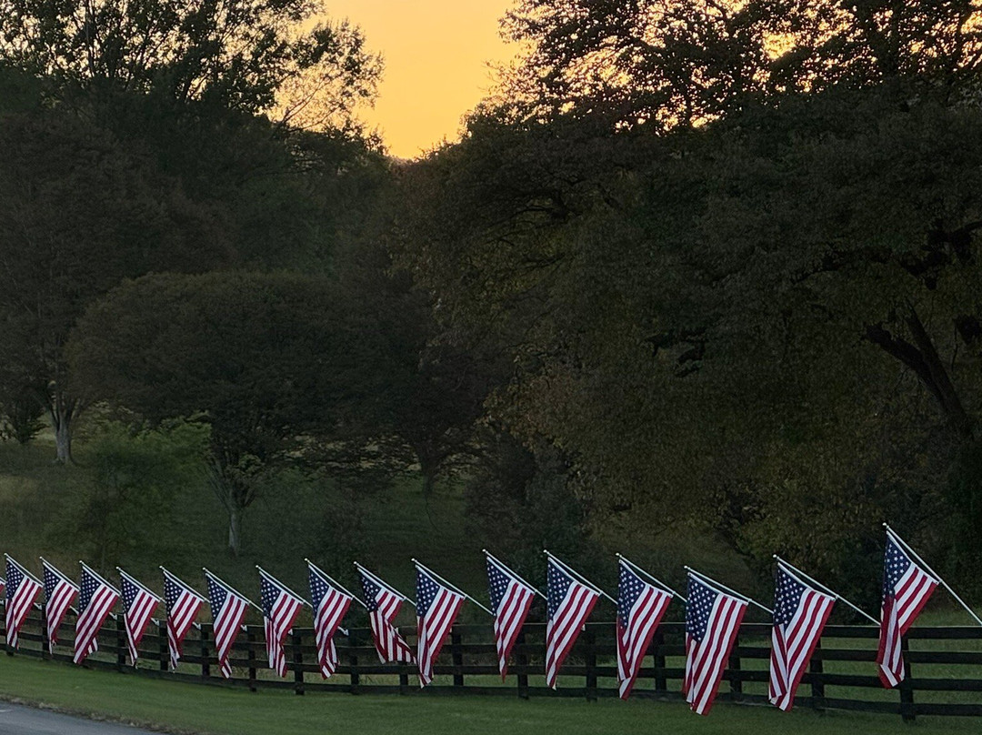 Trump Winery-夏洛茨维尔必去景点