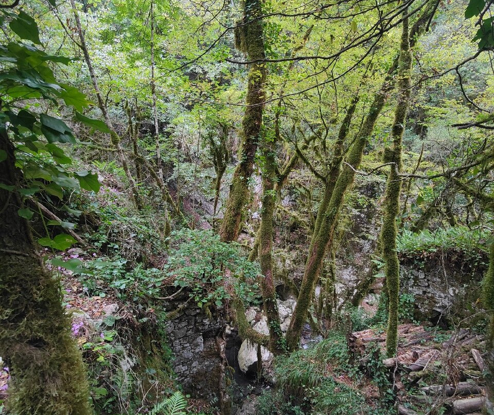 Oasi WWF Grotte del Bussento-Morigerati必去景点