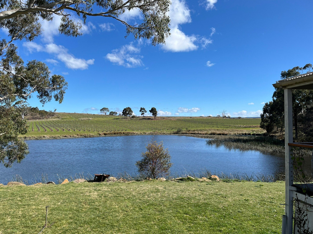 The Long Lunch Tour Co-科尔斯湾必去景点
