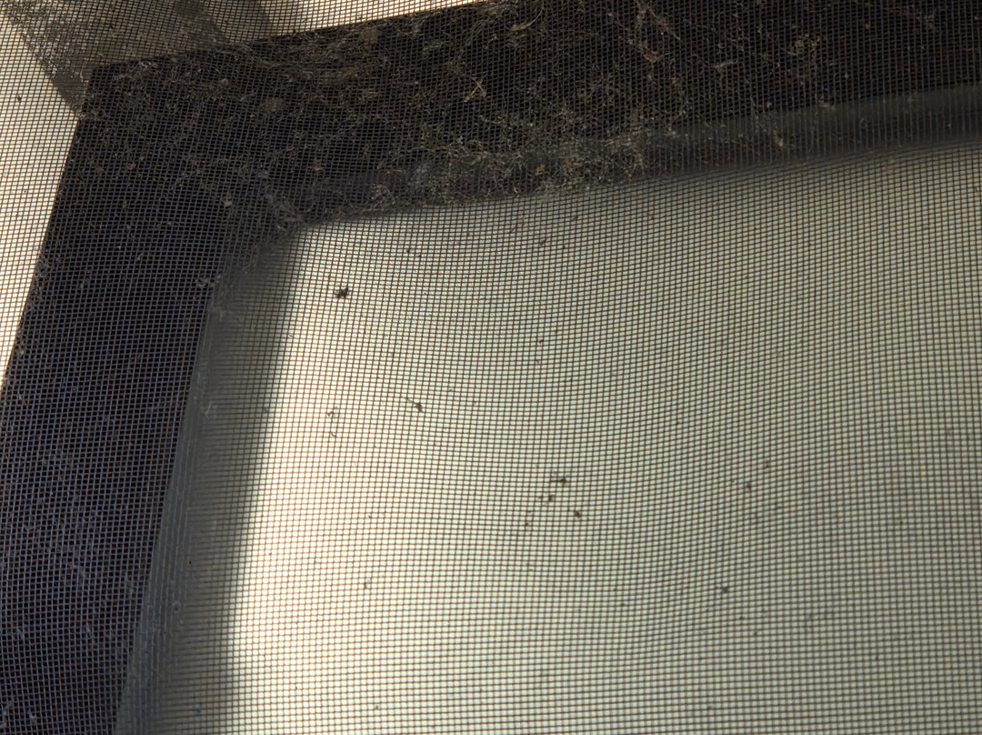 罗扎诺酒店住宿-Borgo Manzoni Charming House