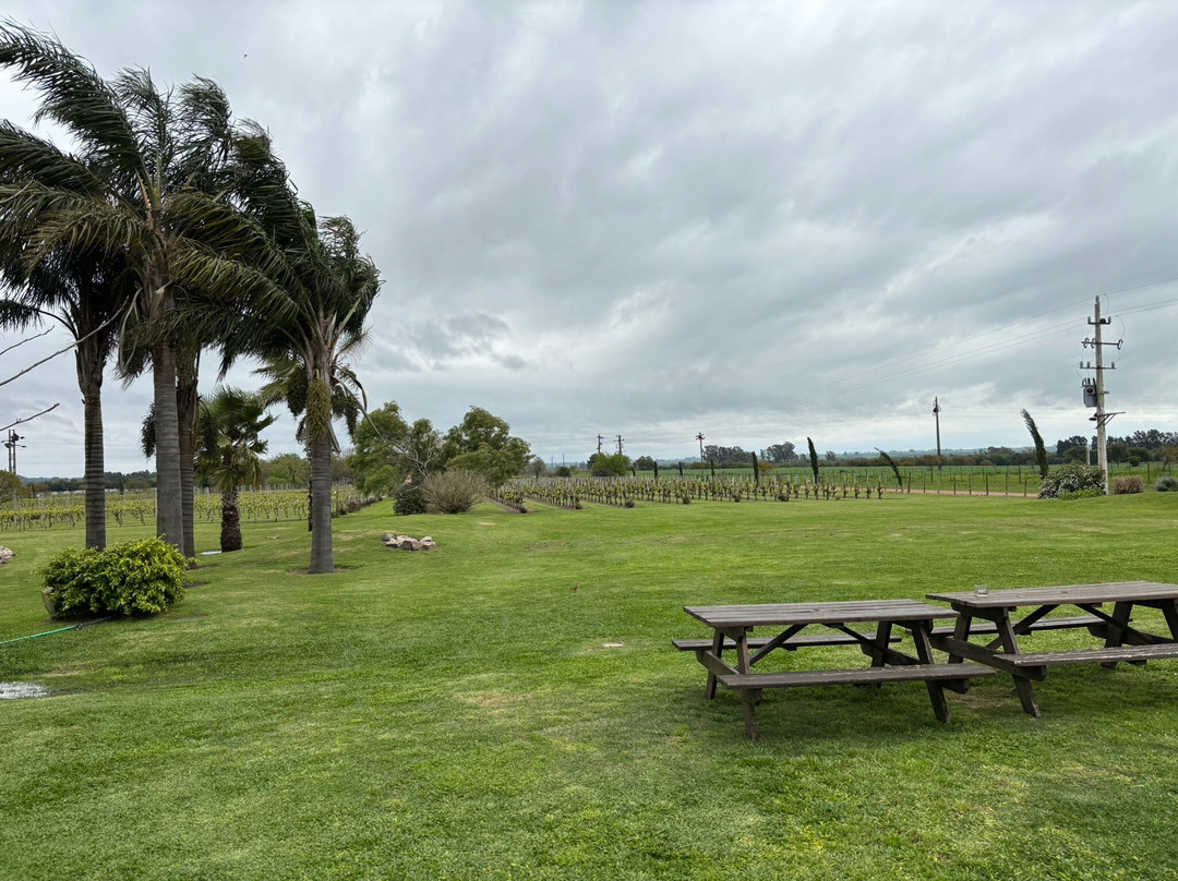 Bodega Boutique El Legado-Carmelo必去景点