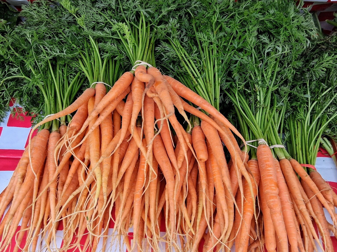 Oshkosh Farmers Markets-奥什科什必去景点