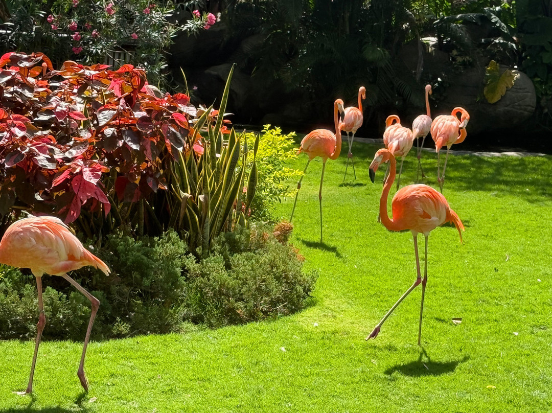 PatagoniaShorex - Tours-巴拉斯港必去景点