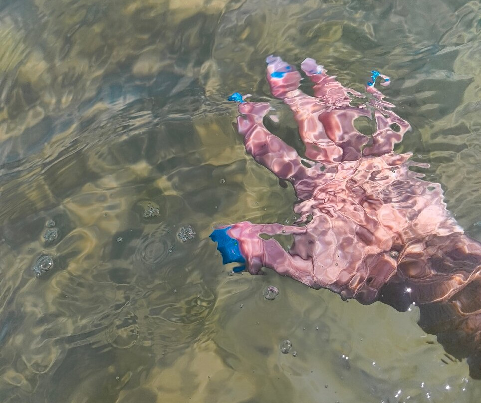 Spiaggia di Portonuovo-维耶斯泰必去景点