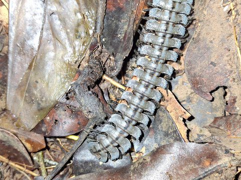 Vida Tours Ecuador-基多必去景点