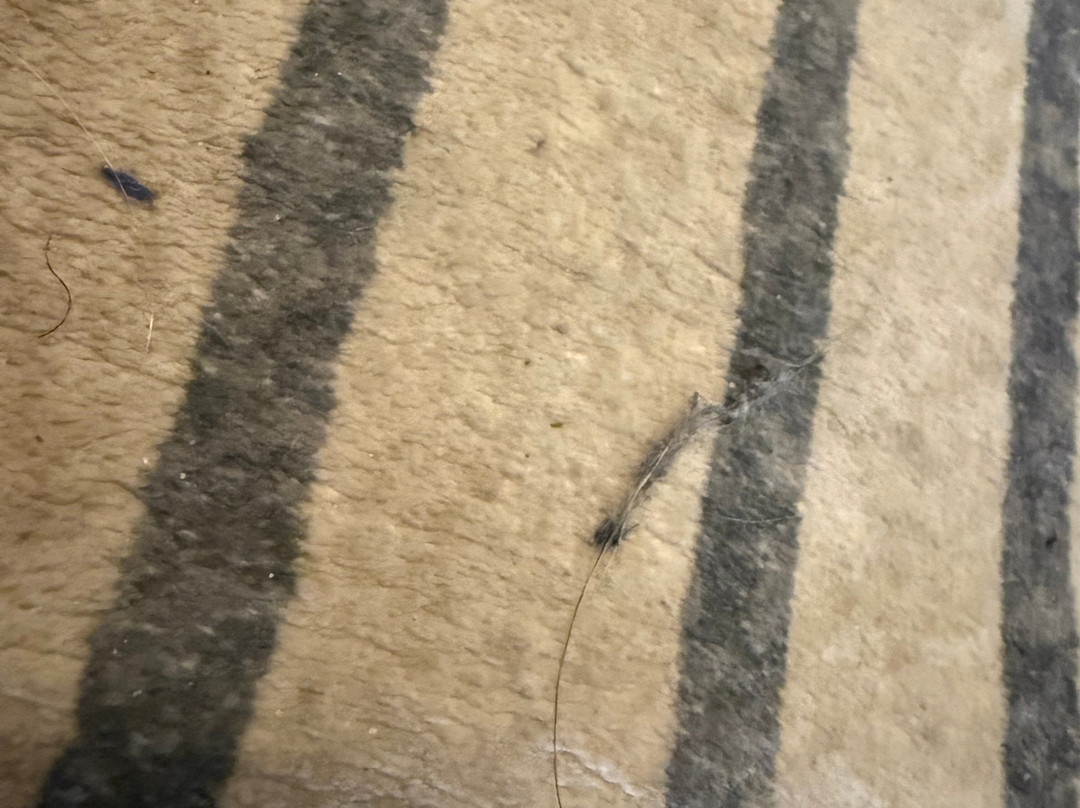 30A套房酒店主图