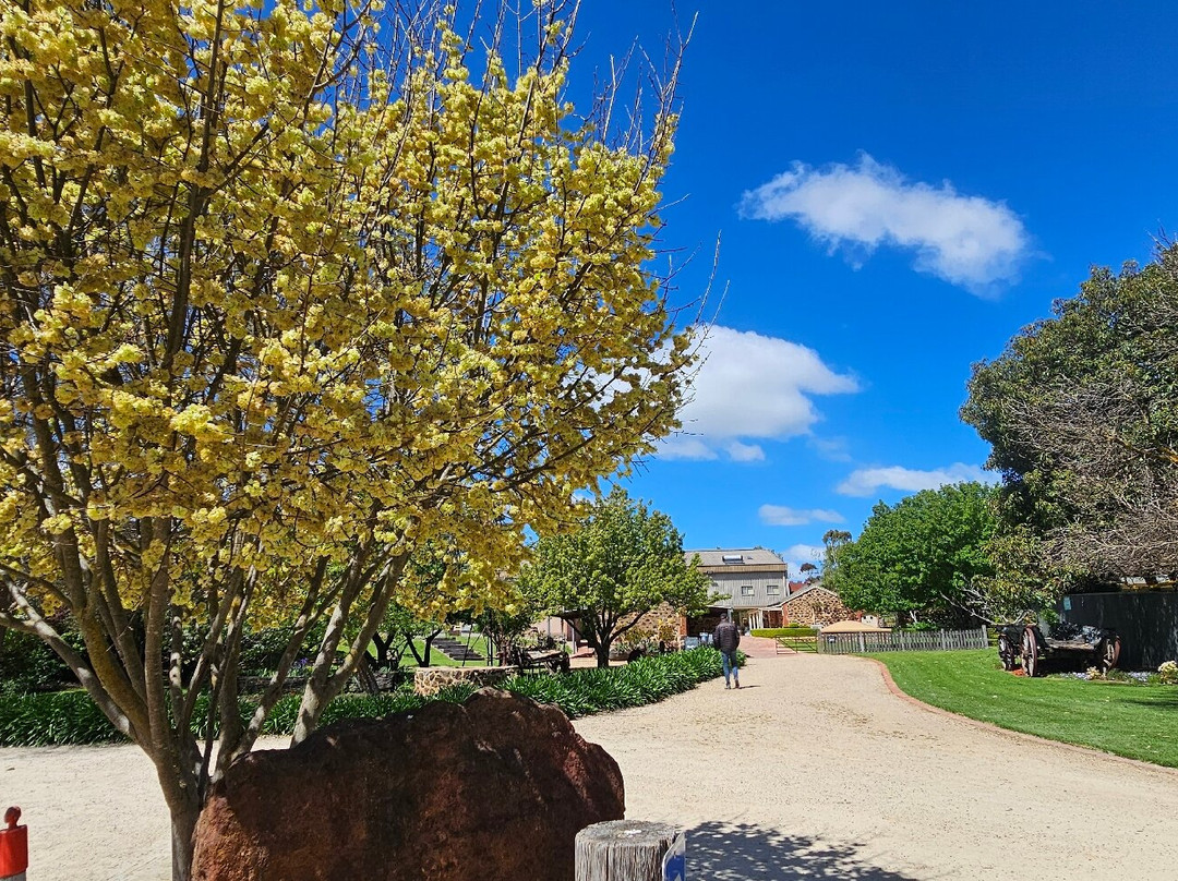 Langmeil Winery-塔努达必去景点