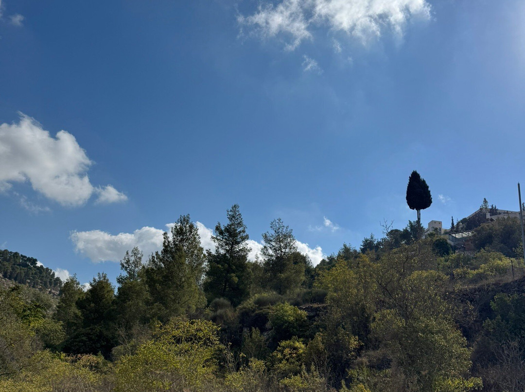 Khan Ein Karem Boutique Hotel主图