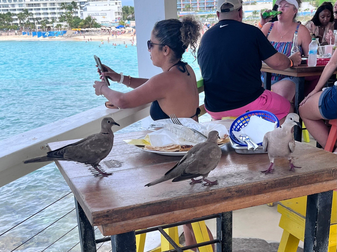 Sunset Bar & Grill-马霍必去景点