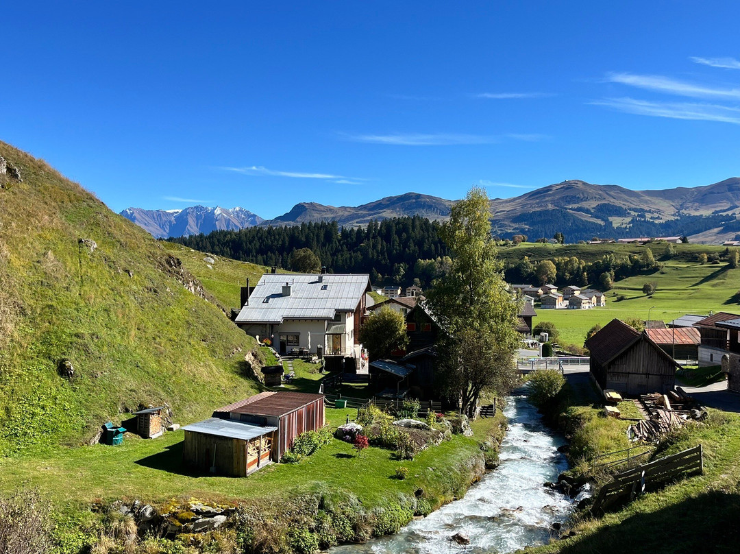 Family hotel Clarezia主图