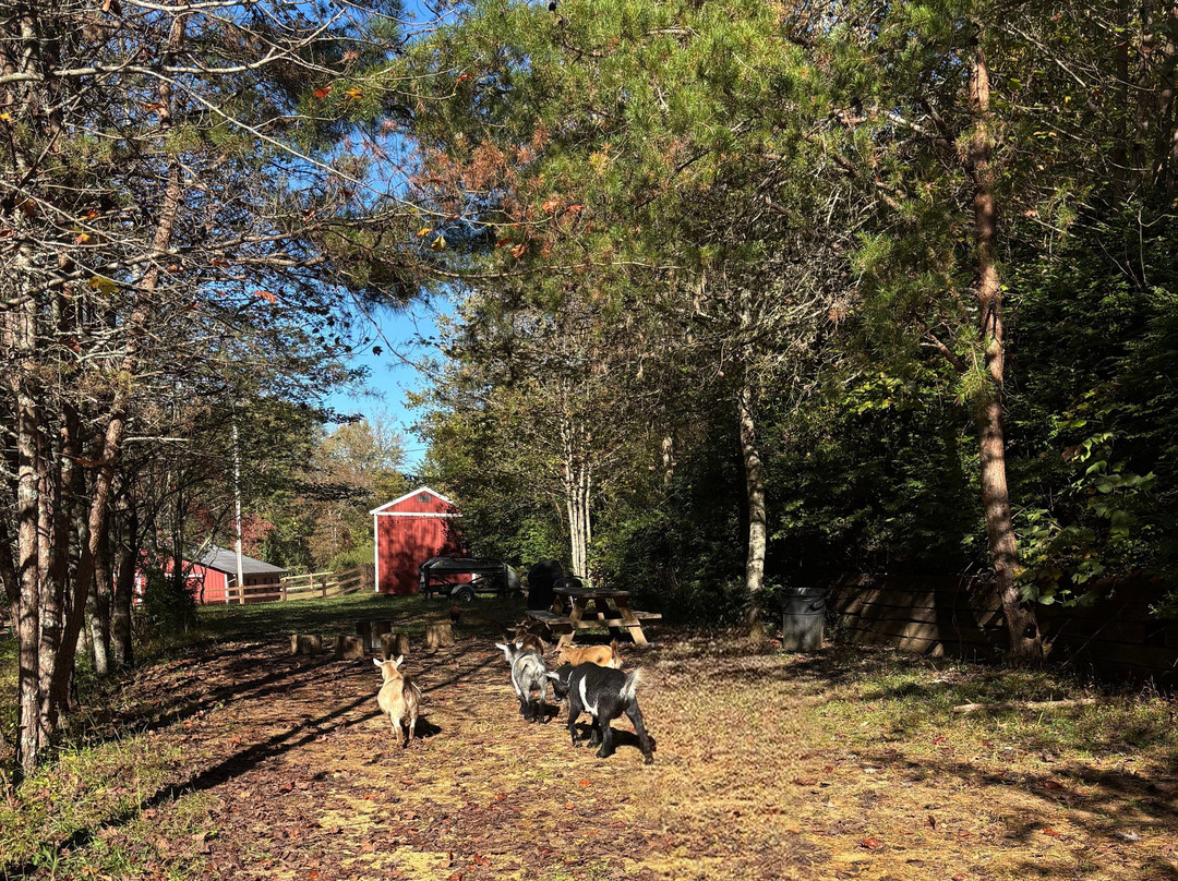 Storybrook Acres-Mineral Bluff必去景点
