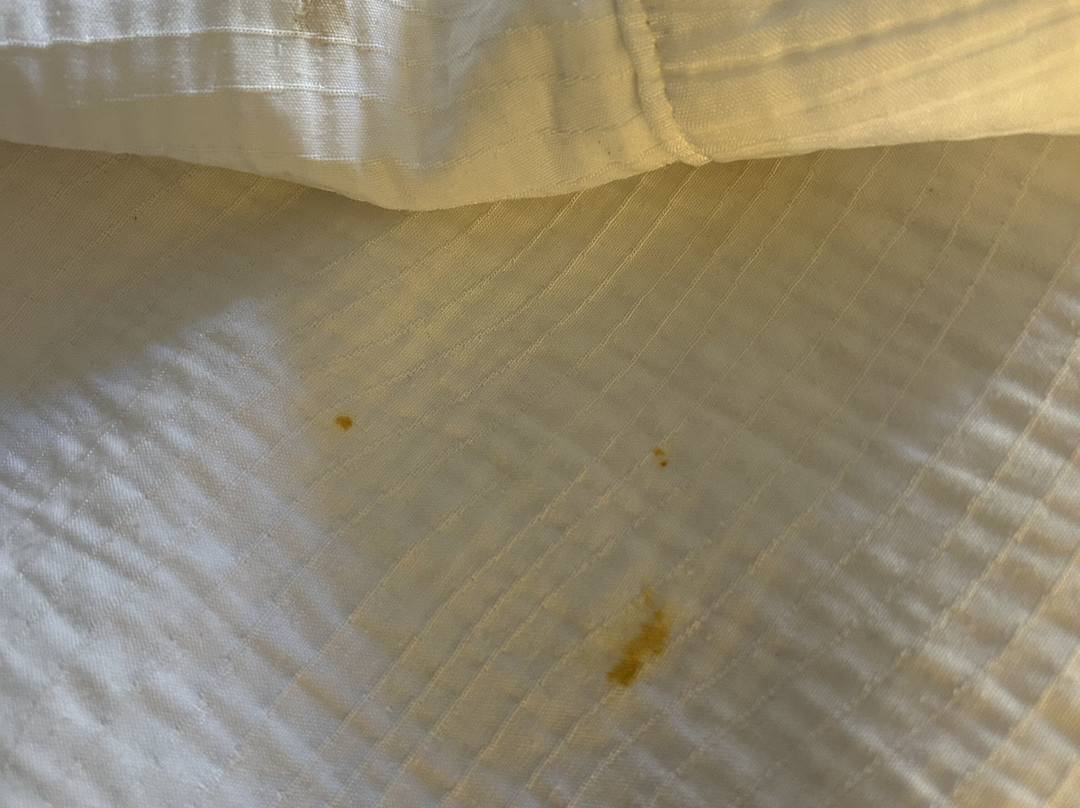 Big Tub Harbour Resort主图