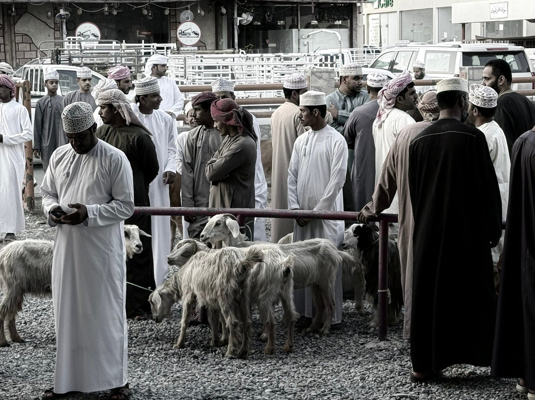 Friday Nizwa Animal Cattle Market