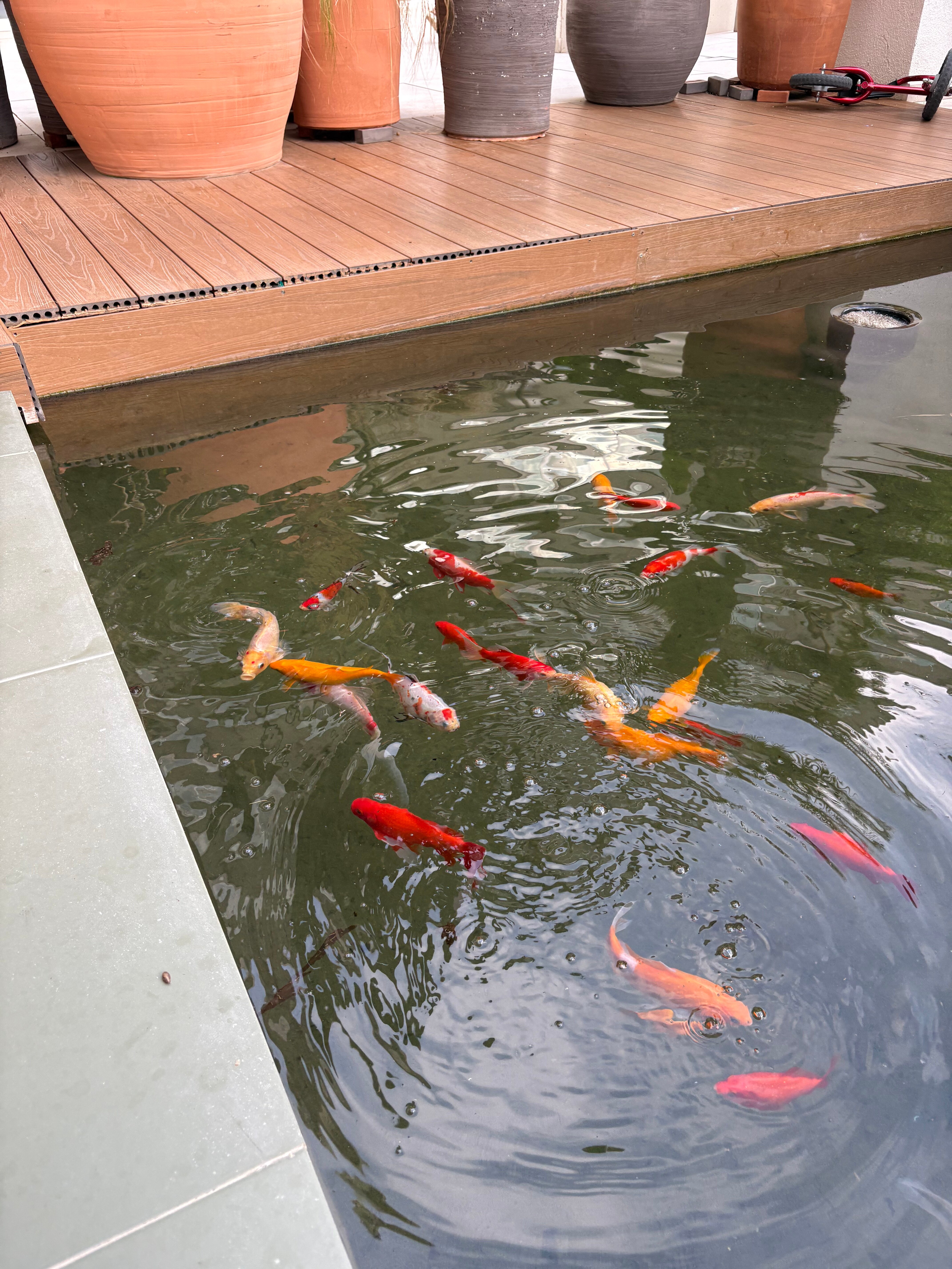Atzavara Hotel & Spa-官方