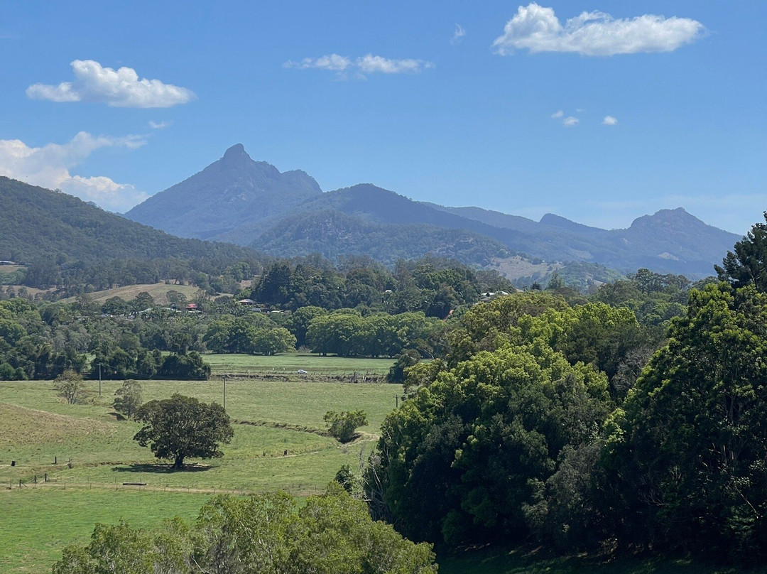 Tweed Regional Gallery & Margaret Olley Art Centre-Murwillumbah必去景点