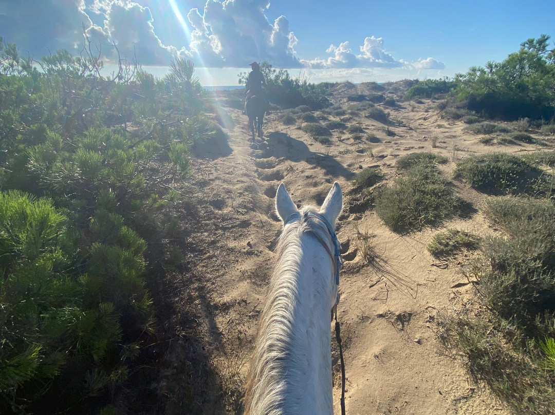 Laganas Horse Riding Center-扎金索斯必去景点