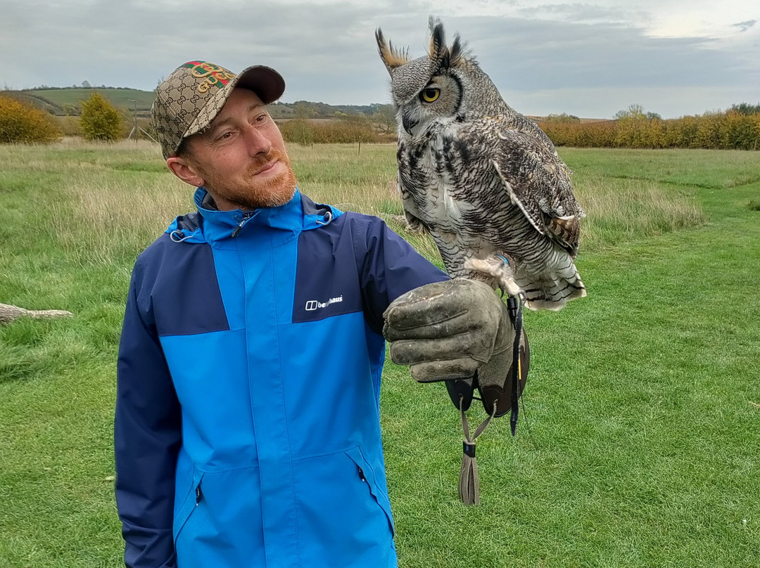 Bird on the Hand Falconry Experiences-Church Langton必去景点