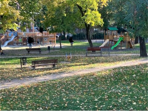 Hajós Játszótér Győr, Bisinger-焦尔必去景点