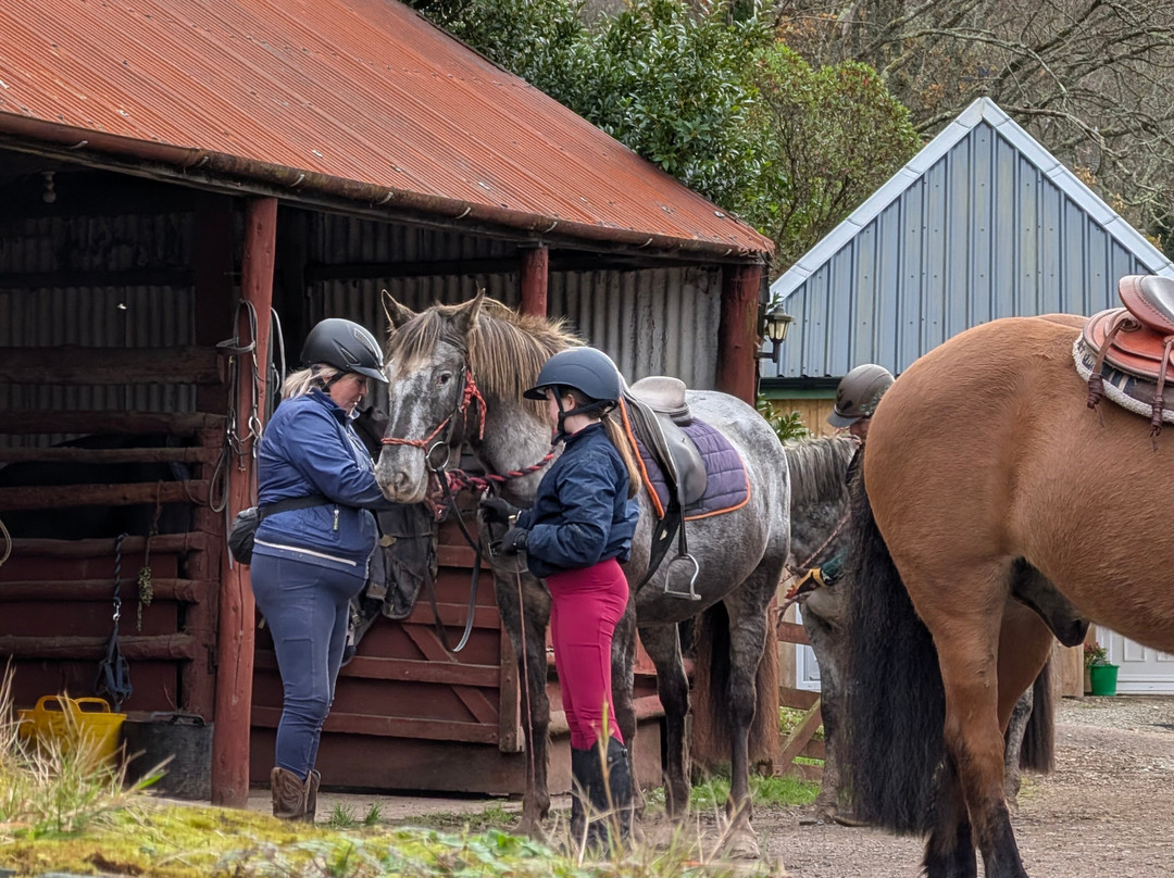 Lunga Riding Stables-Lochgilphead必去景点