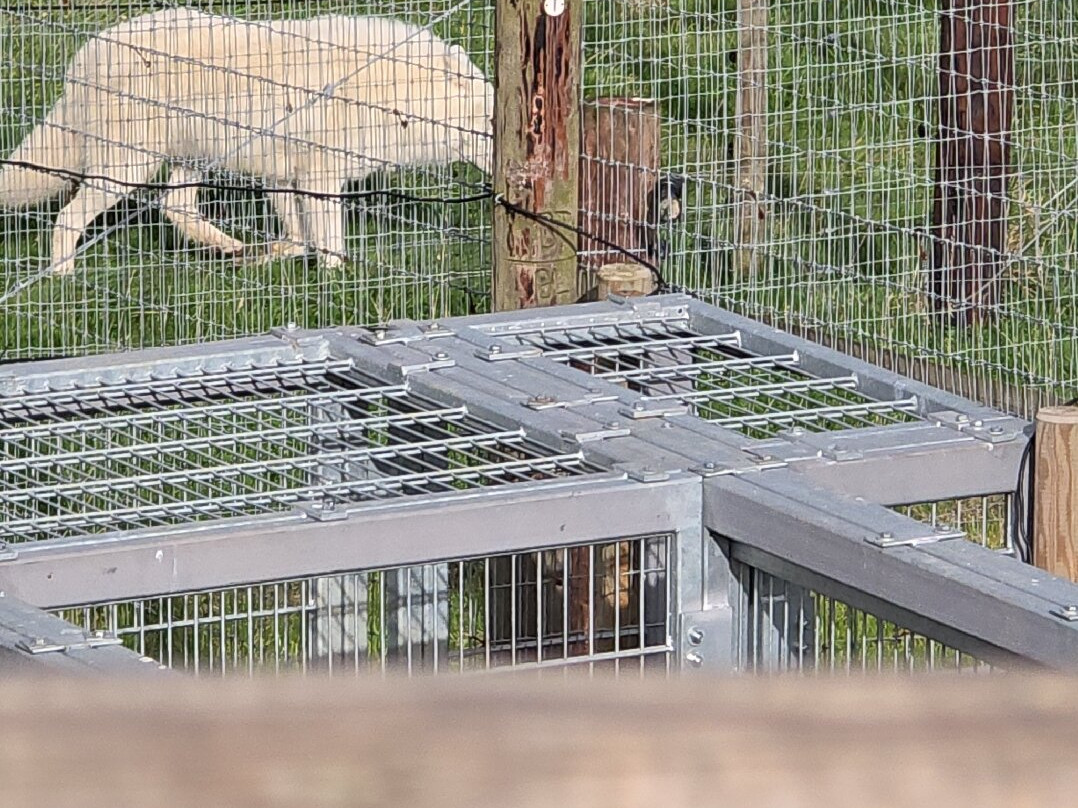 Jimmy's Farm & Wildlife Park-伊普斯威奇必去景点
