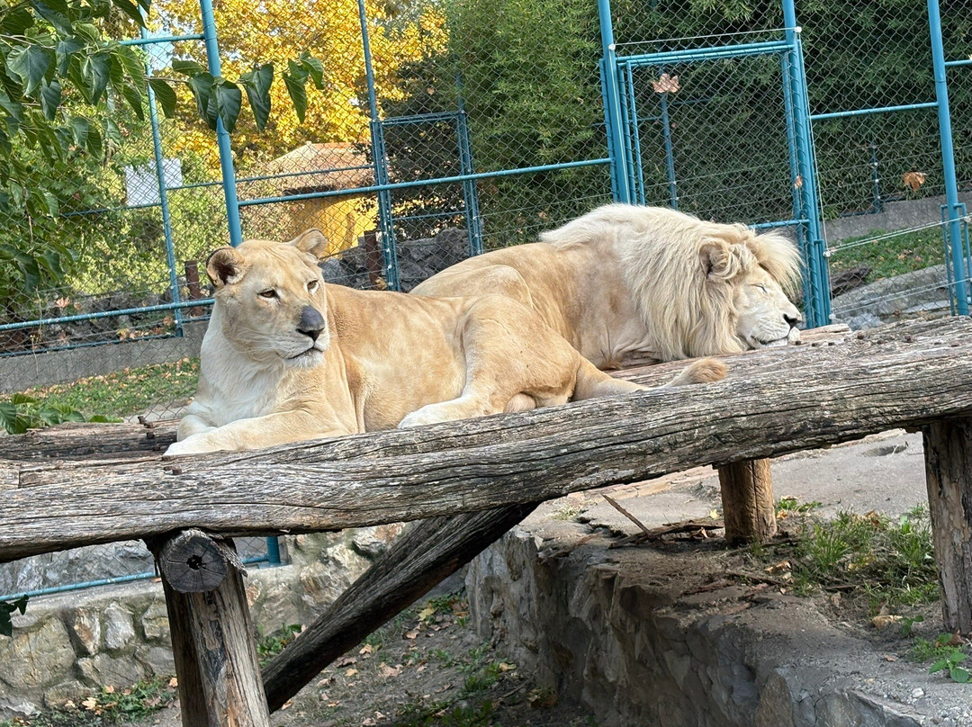 Belgrade Zoo-贝尔格莱德必去景点