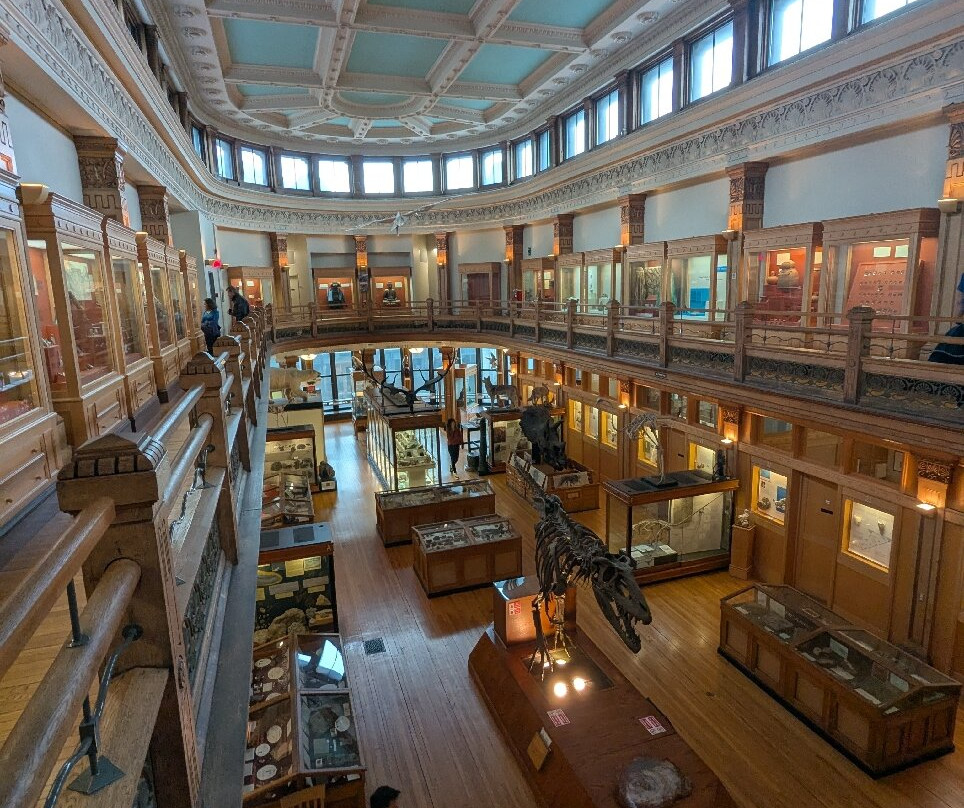 Musée Redpath-蒙特利尔必去景点