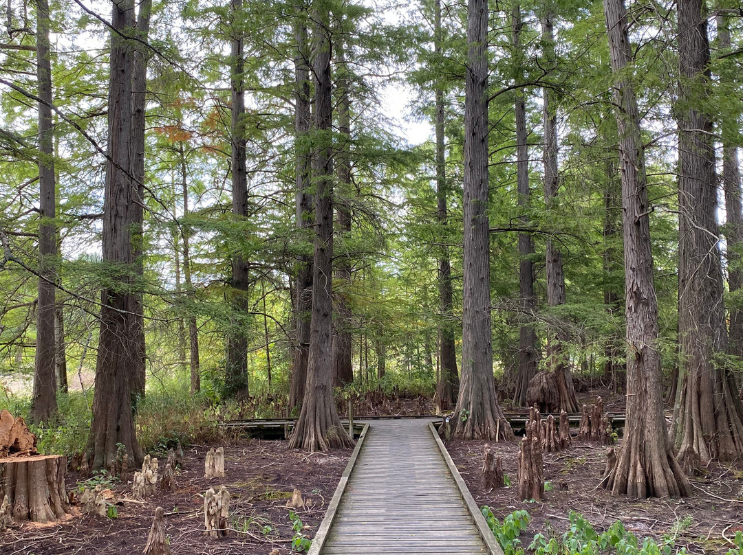 Dawes Arboretum-Newark必去景点