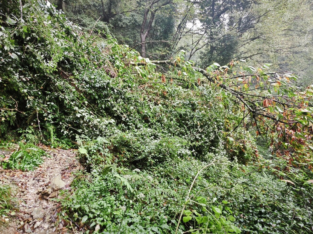 Candalla Waterfalls-卡马约雷必去景点