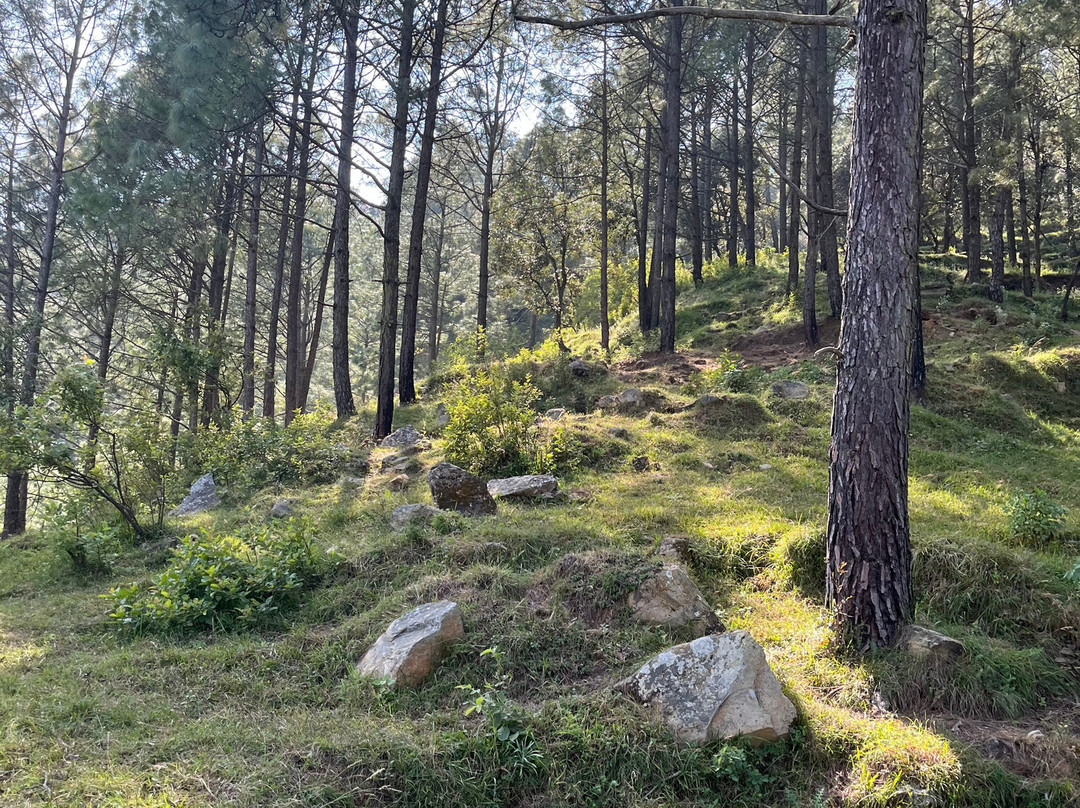 Renz Himalayan Retreat主图