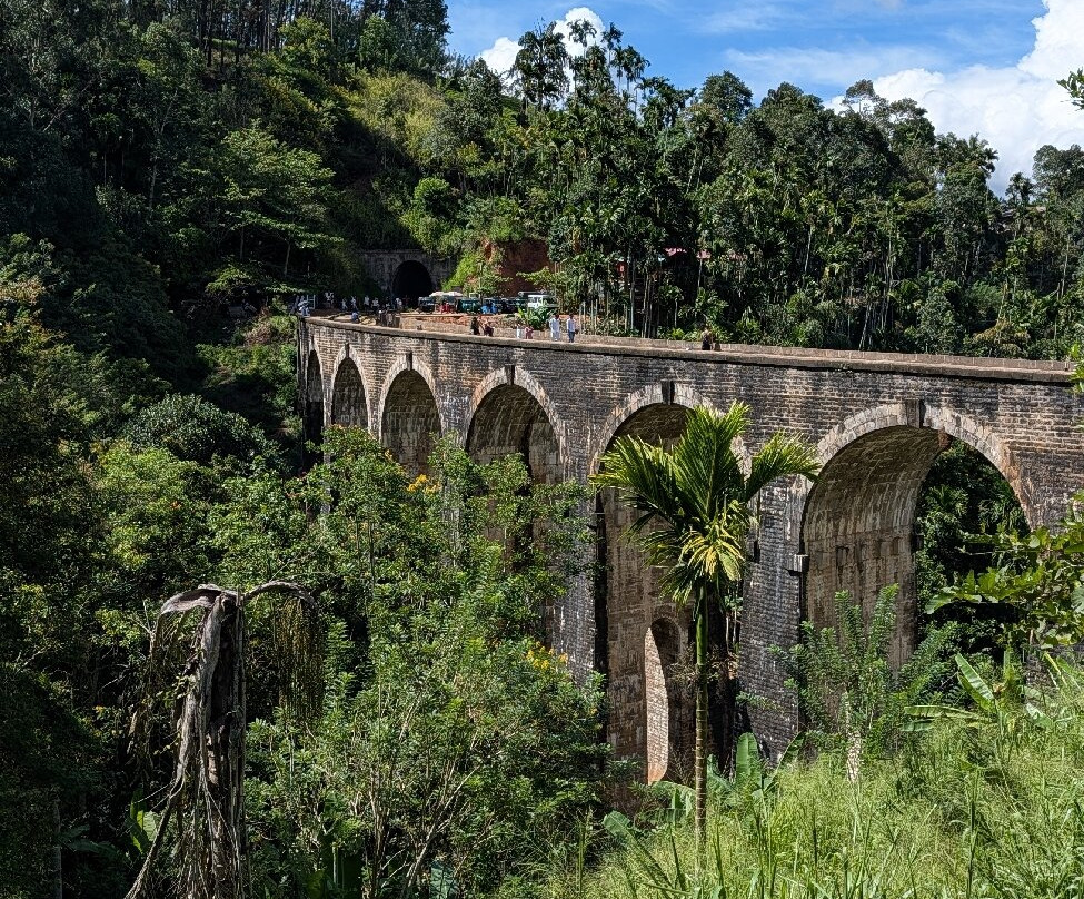 Risi Travels-加勒必去景点