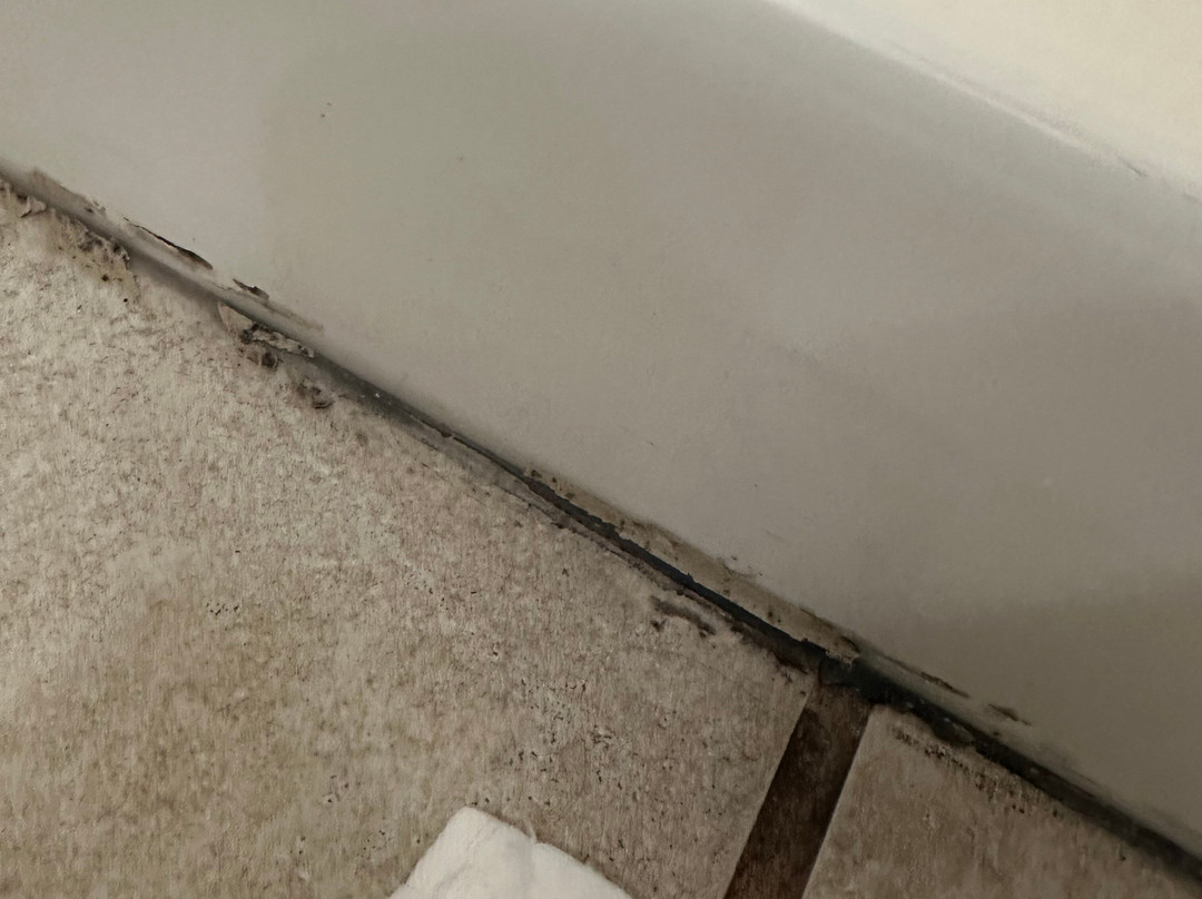 埃芬汉希尔顿花园旅馆主图