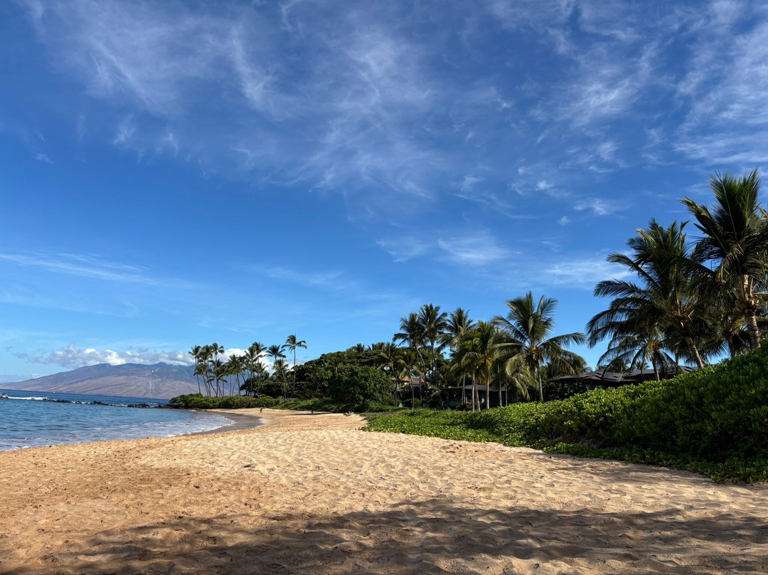 Palauea Beach-维雷亚必去景点