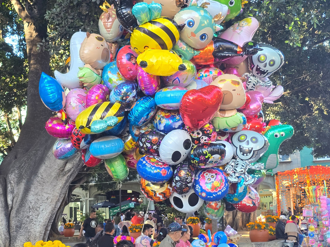 Jar8's Tours-Nanchital de Lazaro Cardenas del Rio必去景点