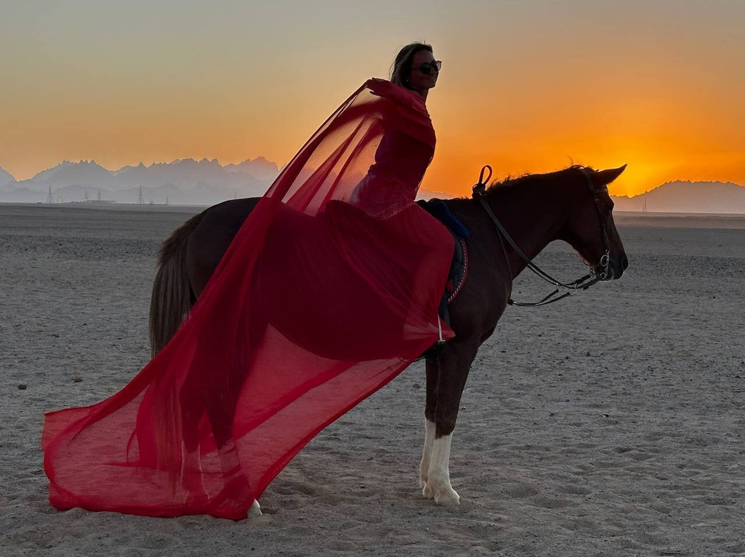 Horse Trips Iryna-赫尔格达必去景点