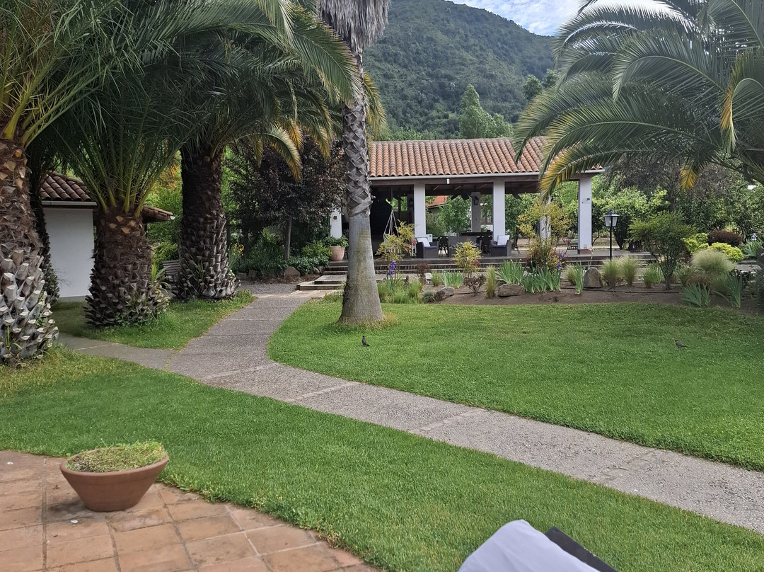 Hotel Boutique Solaz Bella Vista de Colchagua主图