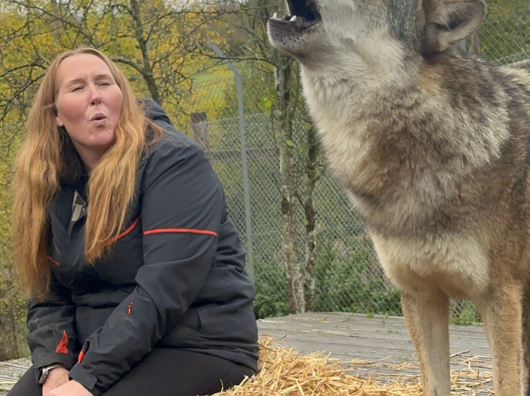 Wolves Of Wiltshire-埃文河畔布德拉夫必去景点