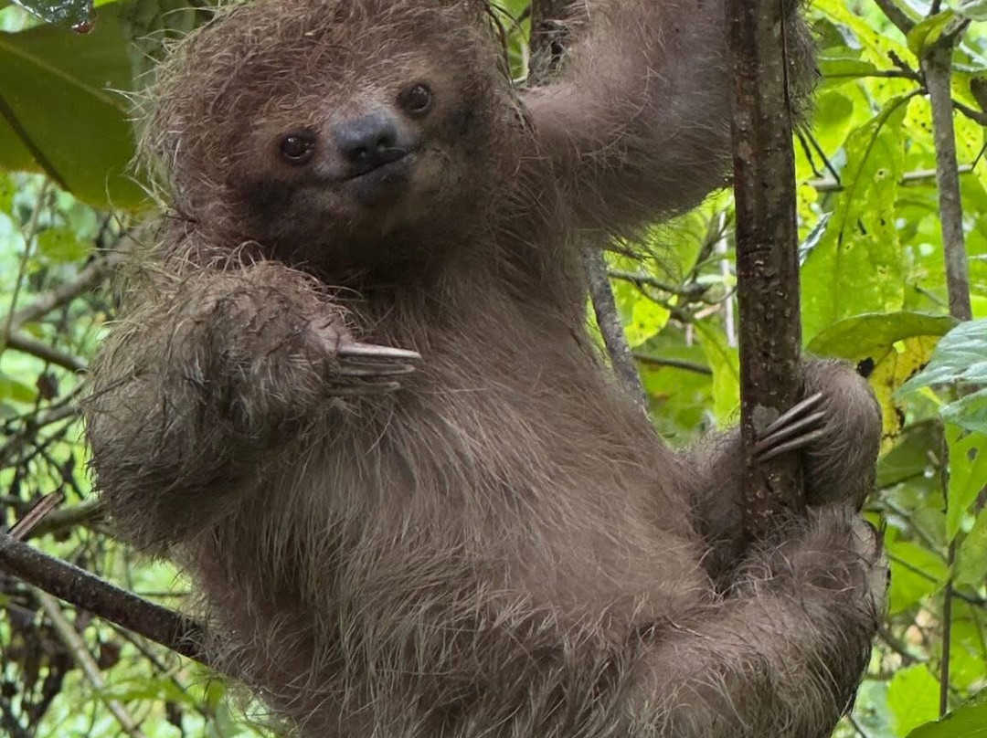 Sebastians unique tours costa Rica-Playa Panama必去景点