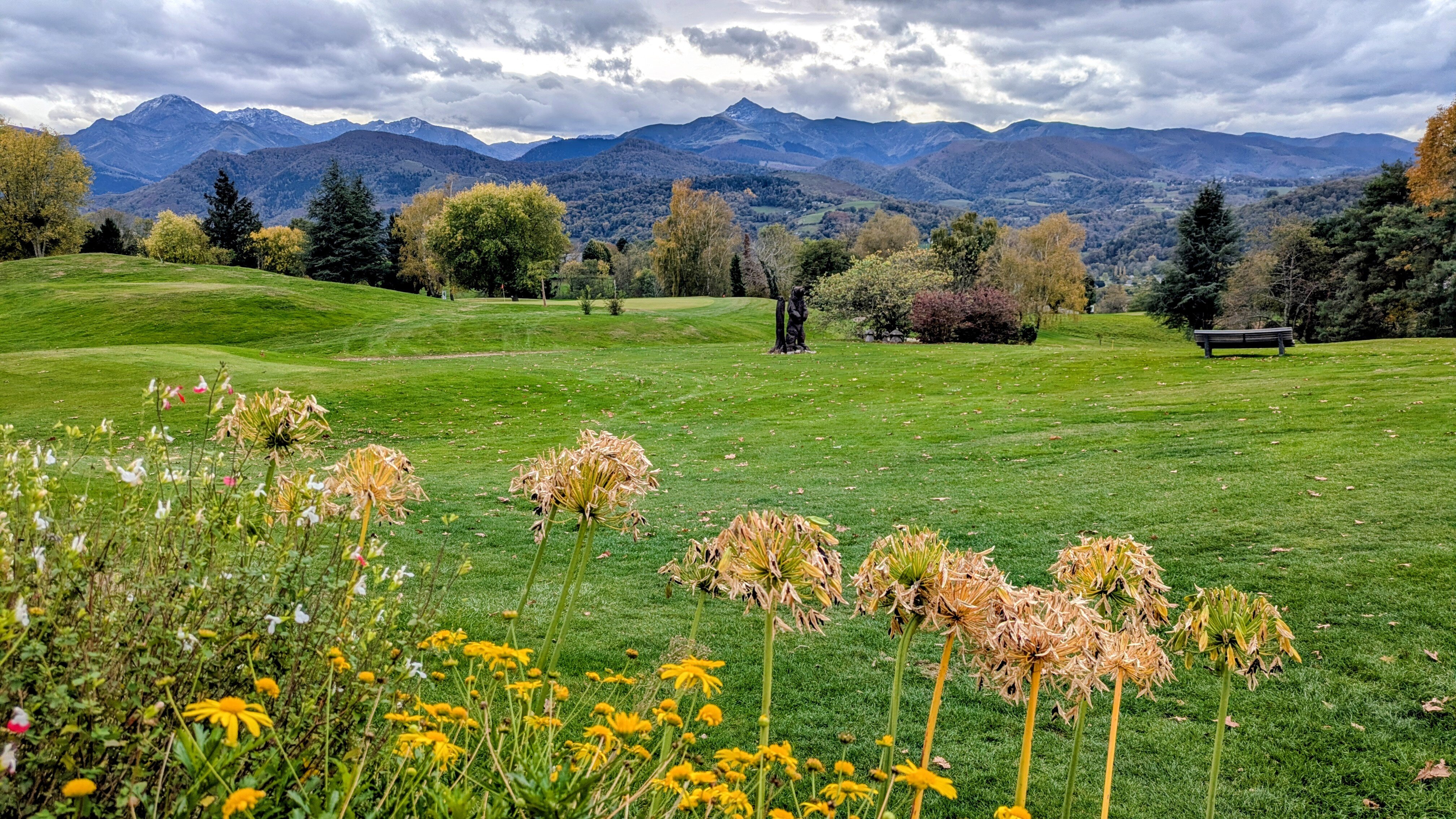 尔姆公寓式酒店-官方