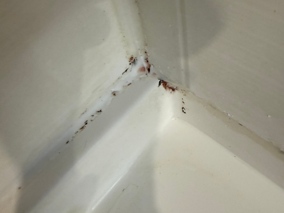 La Quinta Inn & Suites by Wyndham Joplin主图