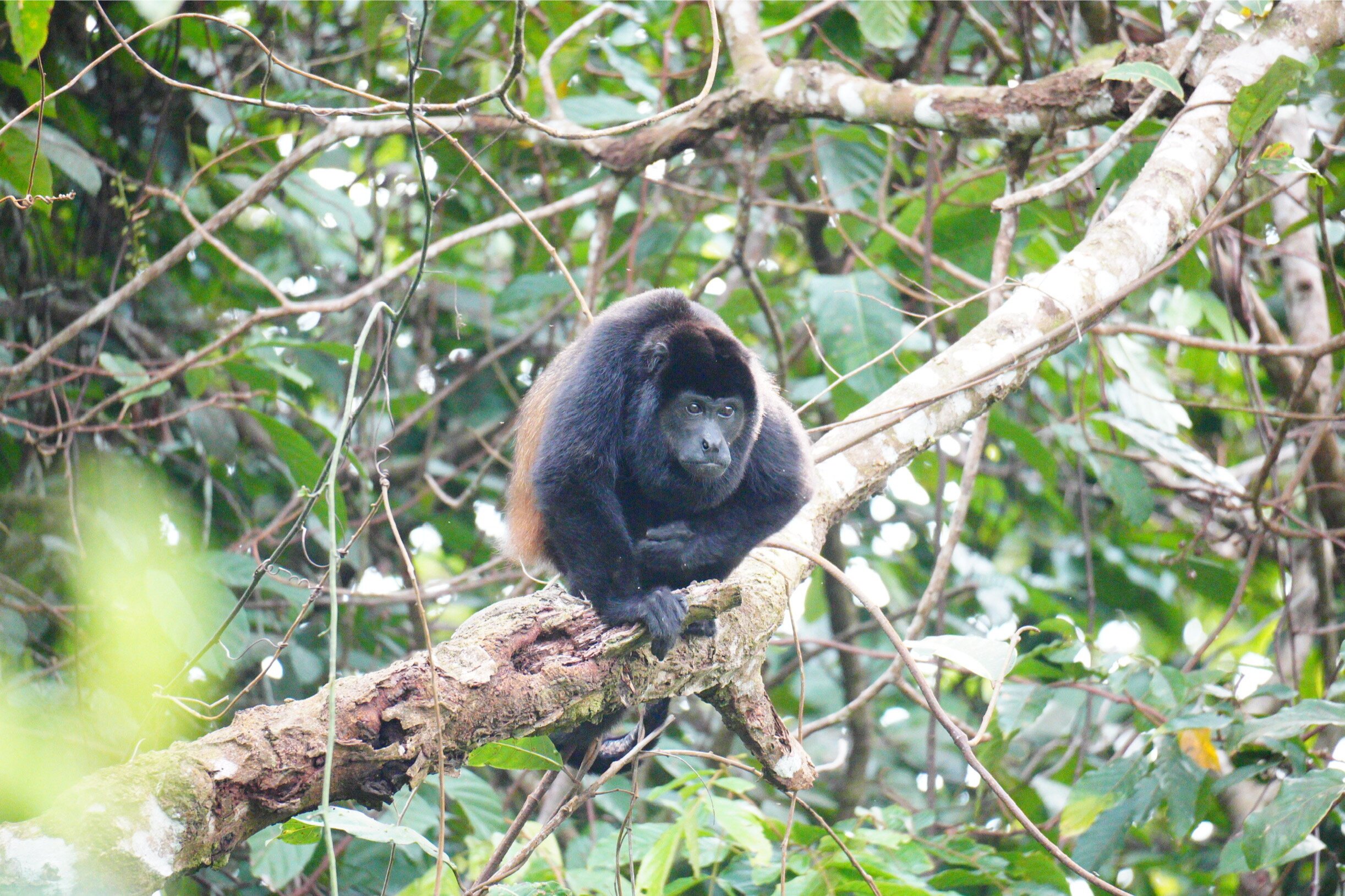Rancho Pacifico-酒店景观