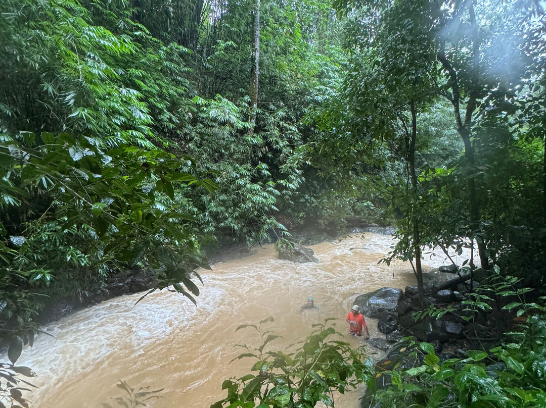 Uvita Paradise Adventures ( Zip Line)-乌维塔必去景点