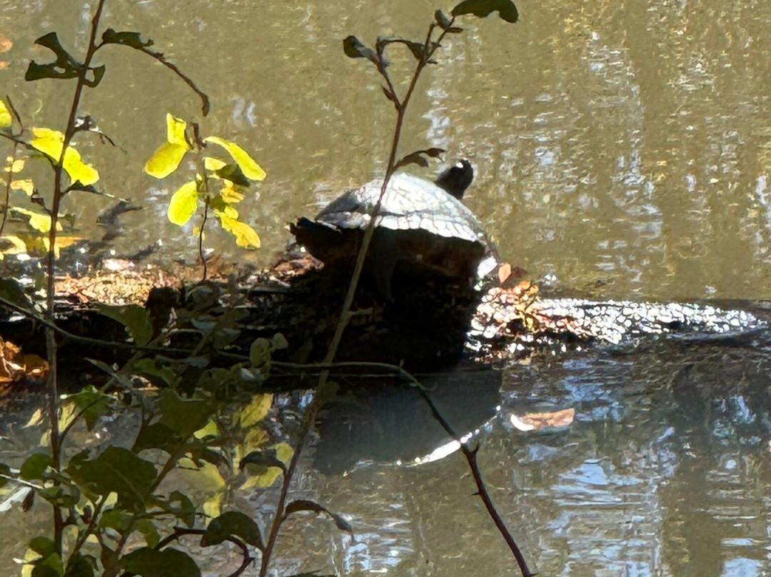 Sandy Creek Nature Center-阿森斯必去景点