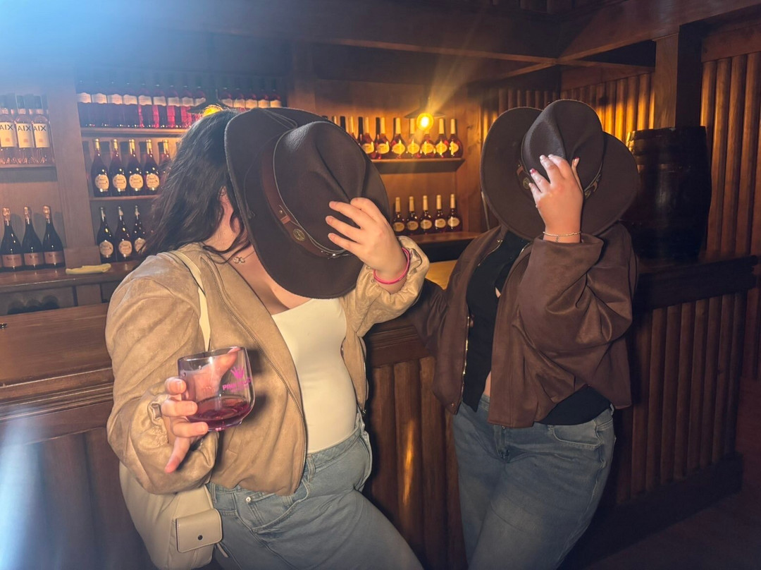 Pink Palace Museum-加亚新城必去景点