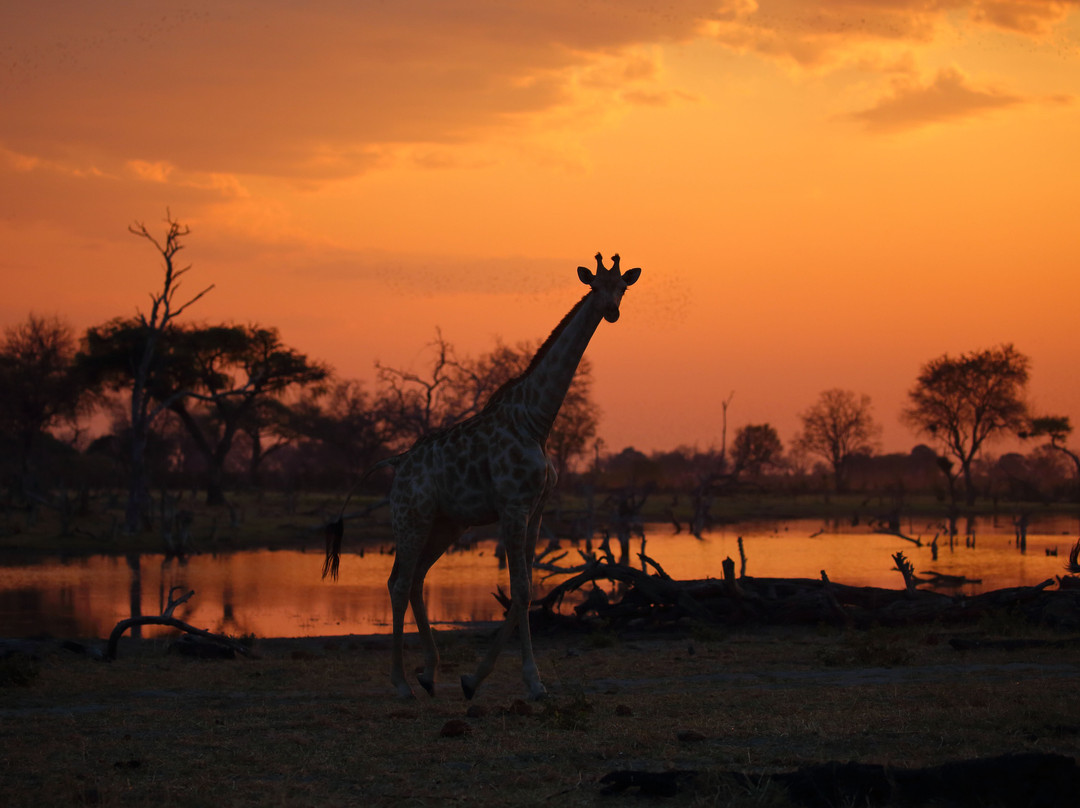 Africa's Best Adventures-开普敦必去景点