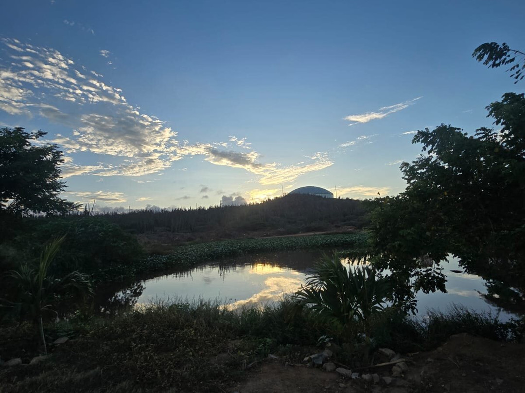 Alto Vista Winery-Noord必去景点