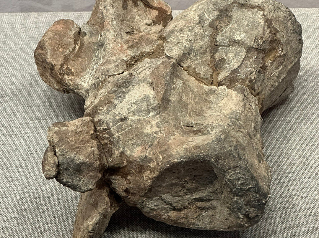 安顺地区博物馆-安顺市必去景点