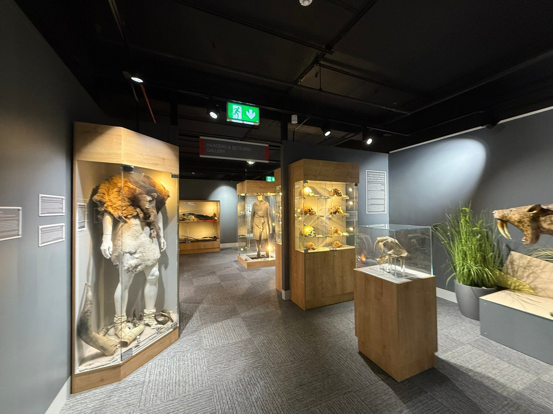 Dudley Museum and Art Gallery-Dudley必去景点