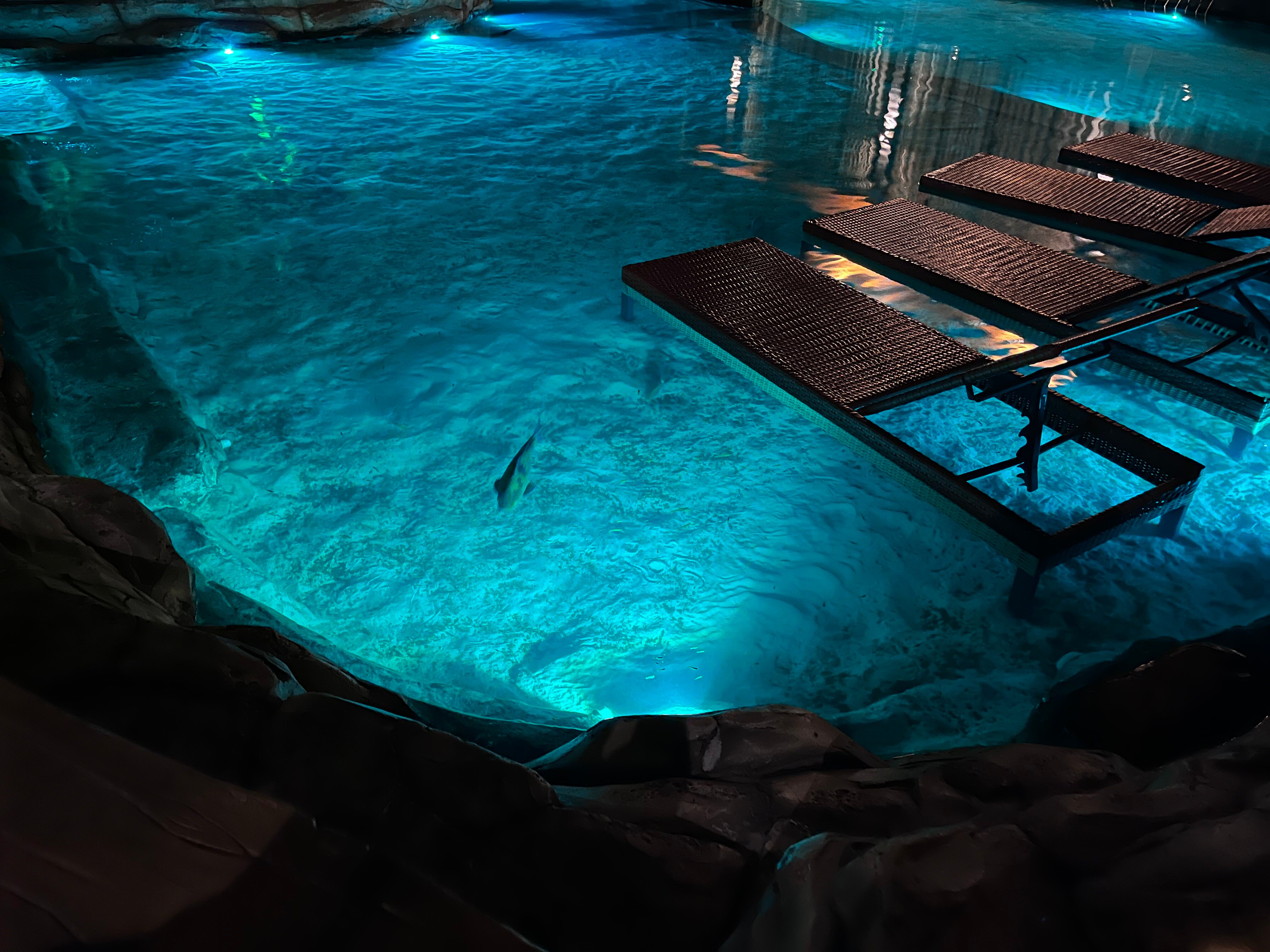 Carpe Diem Eco Resort Olímpia-官方