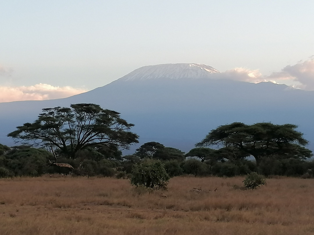 D.M. Tours & Safaris-查佛必去景点